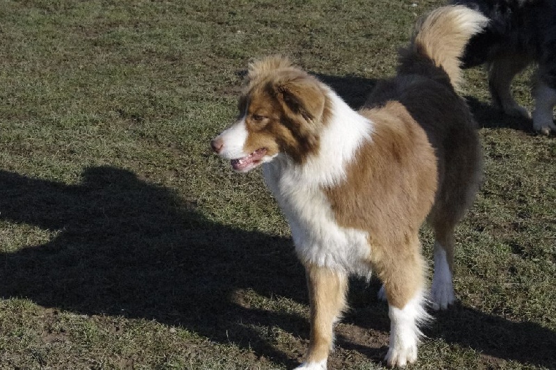 Publication : Des Jardins D'eywa