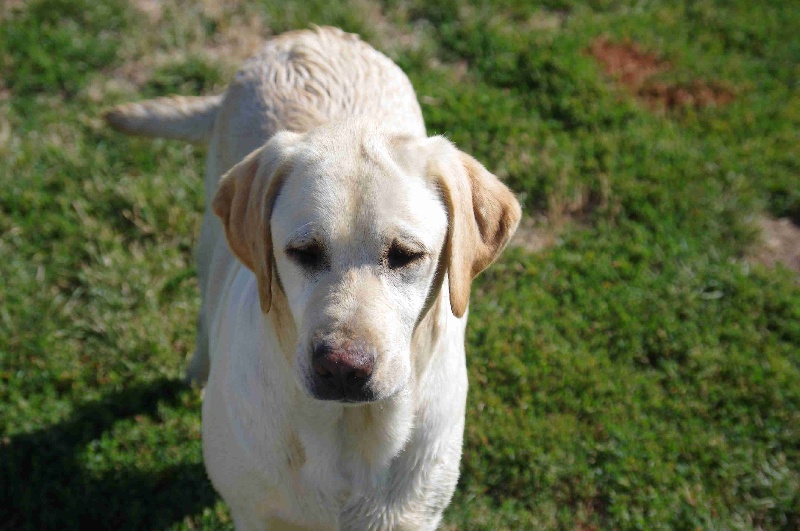 Publication : Des Jardins D'eywa