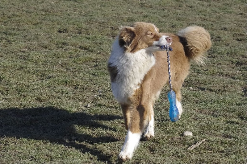 Publication : Des Jardins D'eywa