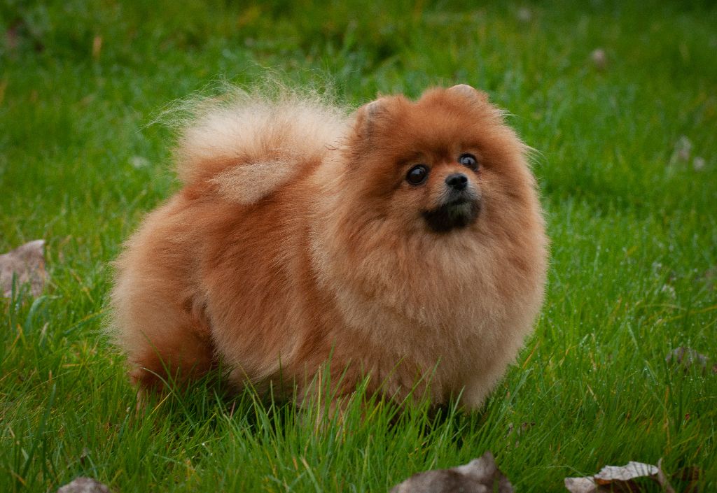 Publication : Du Domaine Du Prieure De Cayac Auteur : PHOTO / MLD