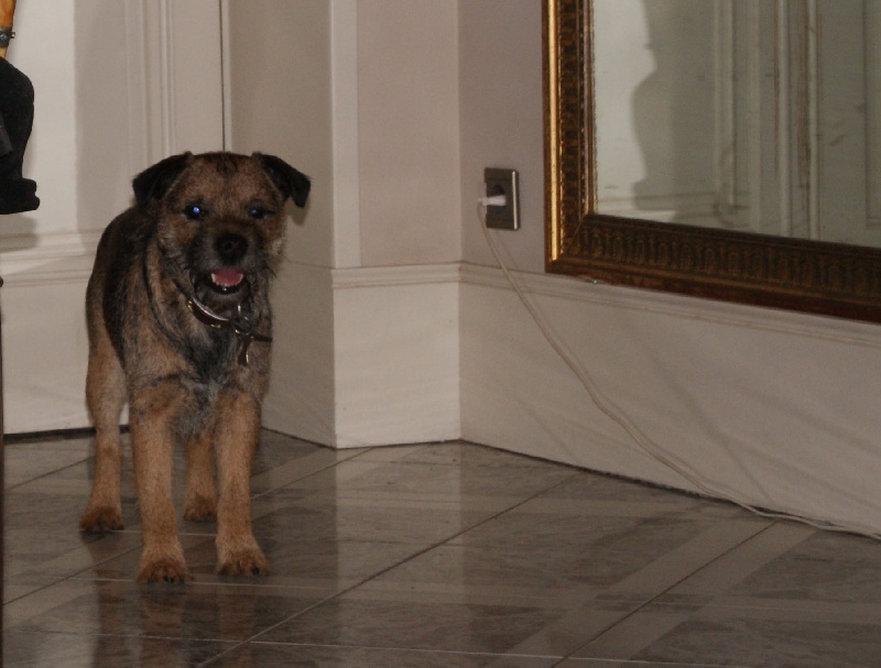 Publication : de Kibéfa