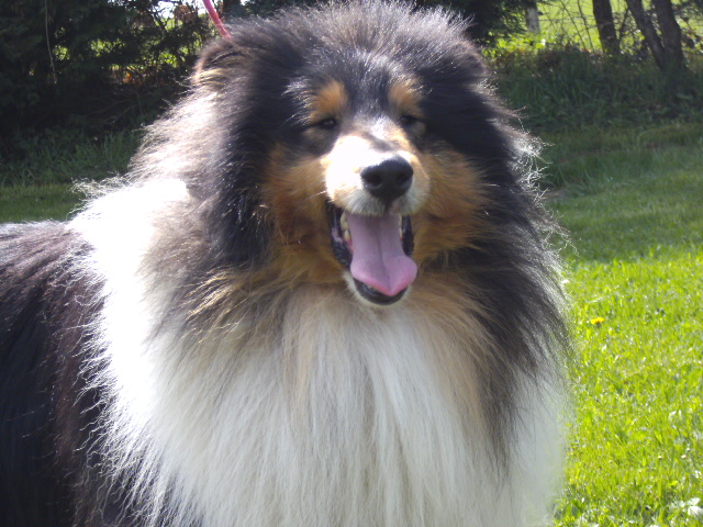 Publication : des menthes sauvages Auteur : béatrice grenier