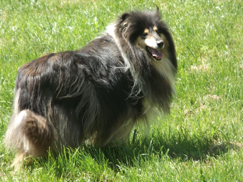 Publication : des menthes sauvages Auteur : beatrice grenier