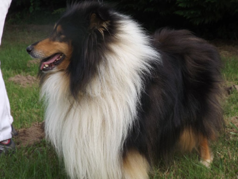 Publication : des menthes sauvages Auteur : béatrice grenier