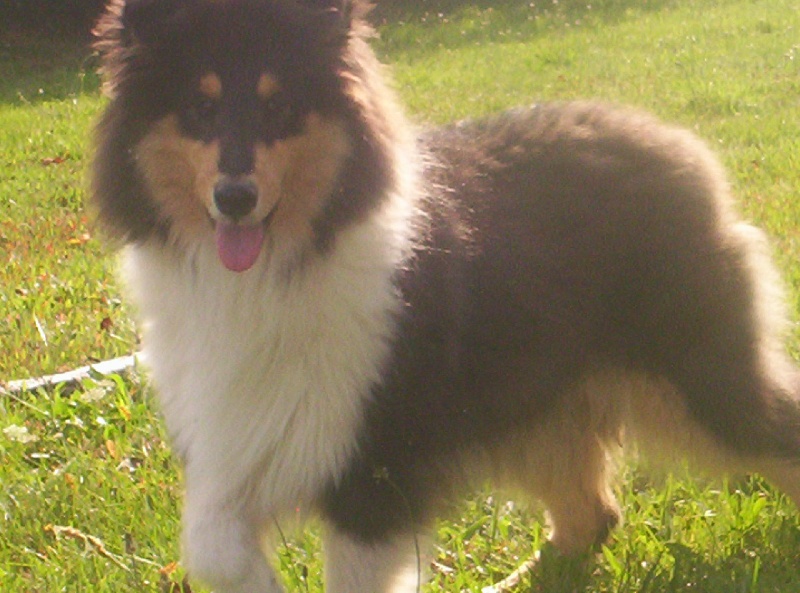 Publication : des menthes sauvages Auteur : béatrice grenier