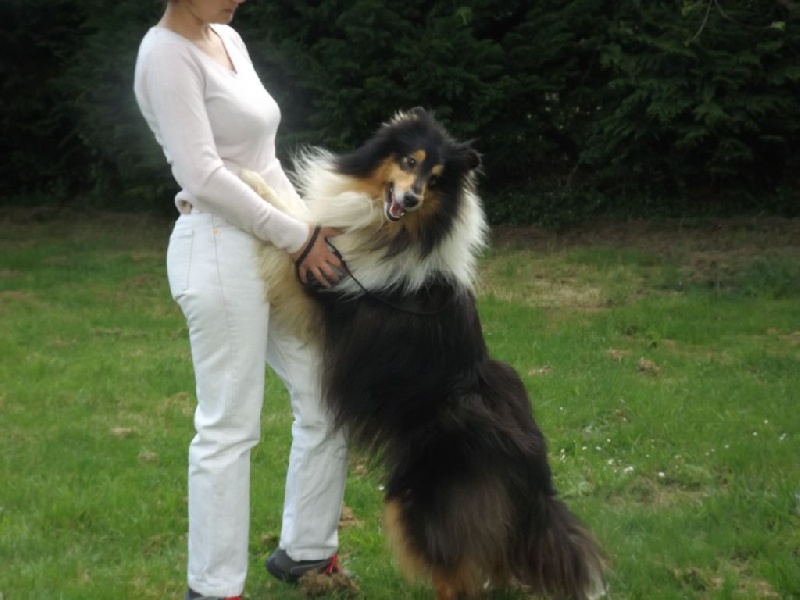 Publication : des menthes sauvages Auteur : béatrice grenier