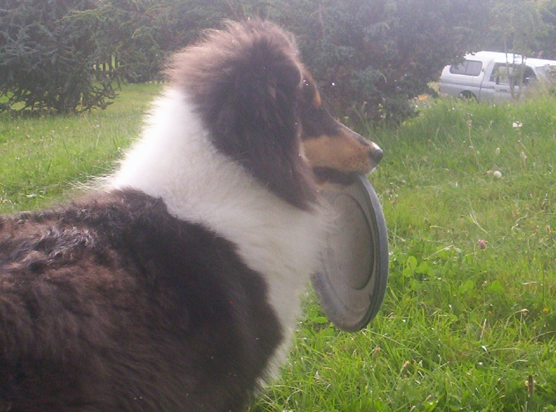 Publication : des menthes sauvages Auteur : béatrice grenier