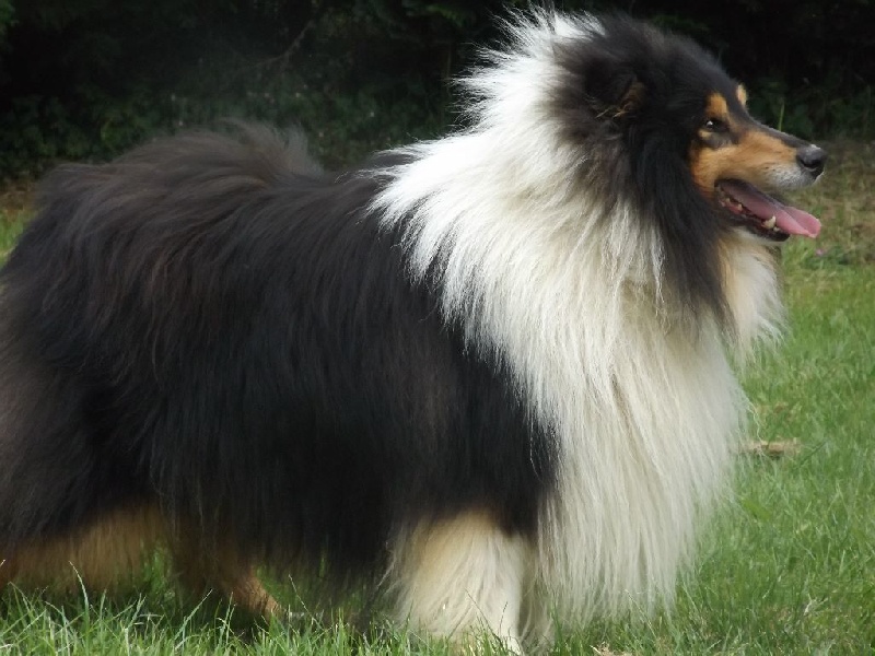 Publication : des menthes sauvages Auteur : béatrice grenier