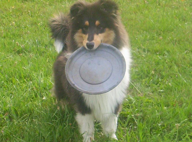 Publication : des menthes sauvages Auteur : béatrice grenier