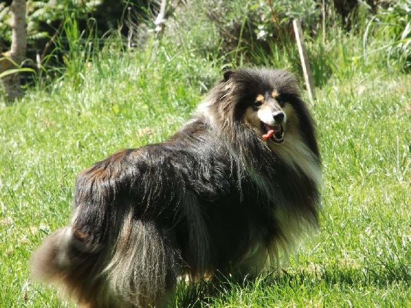 Publication : des menthes sauvages Auteur : beatrice grenier