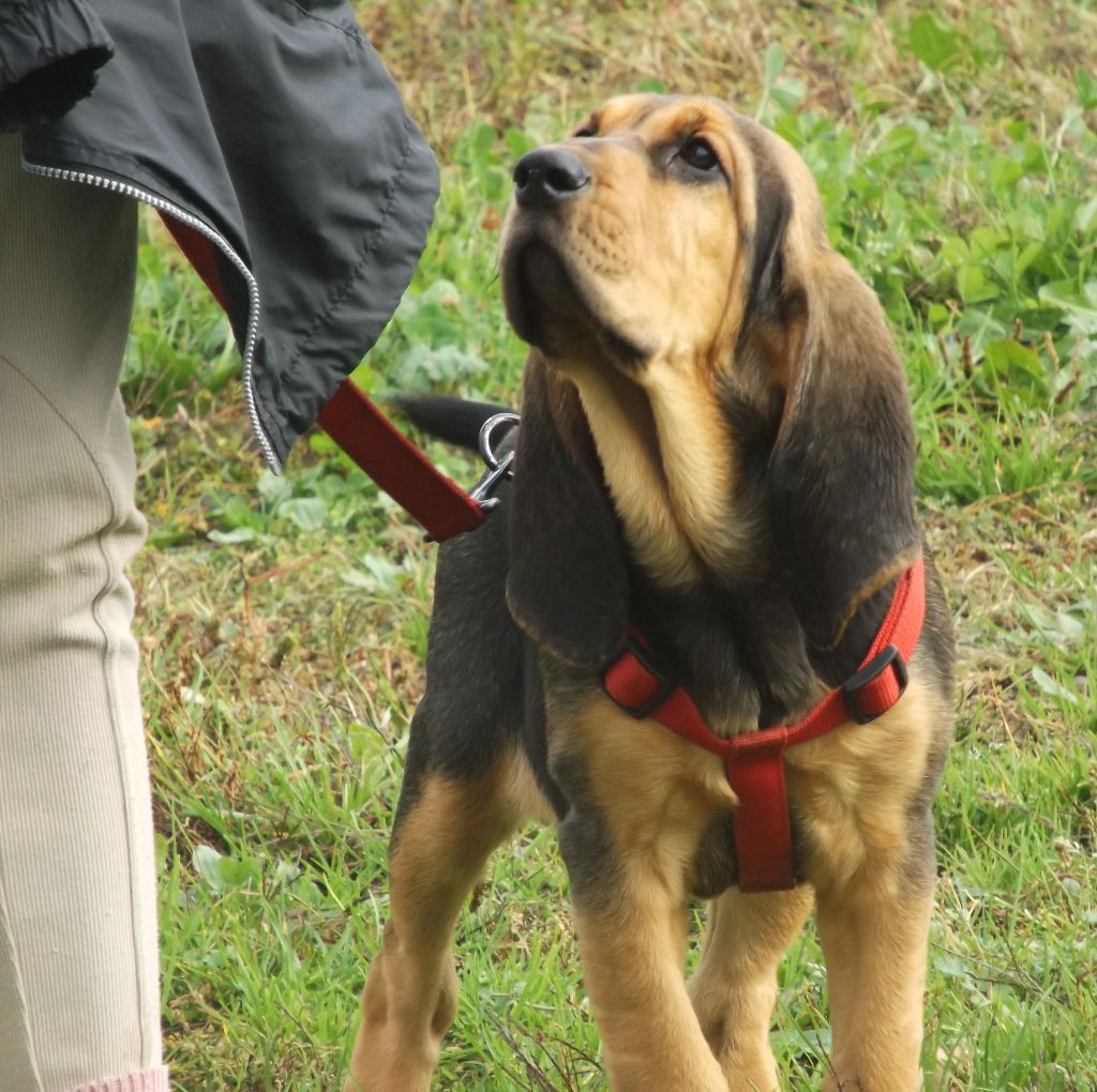 NAOMIE DES MENTHES SAUVAGES