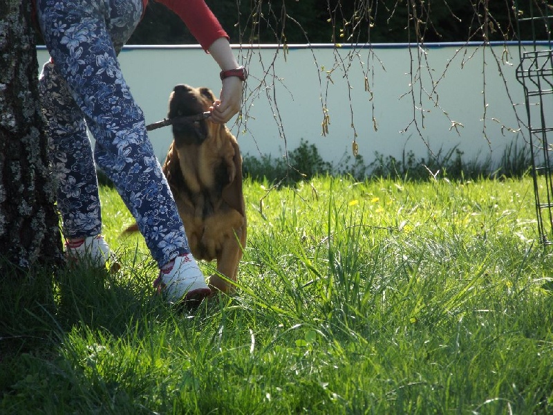 logan des menthes sauvages