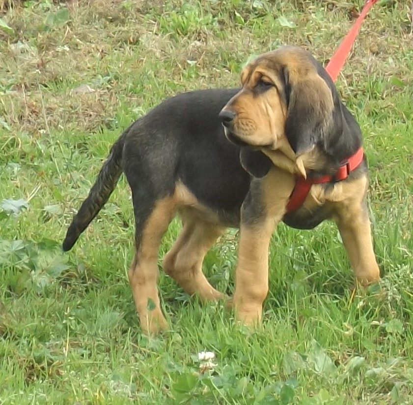 NAOMIE DES MENTHES SAUVAGES