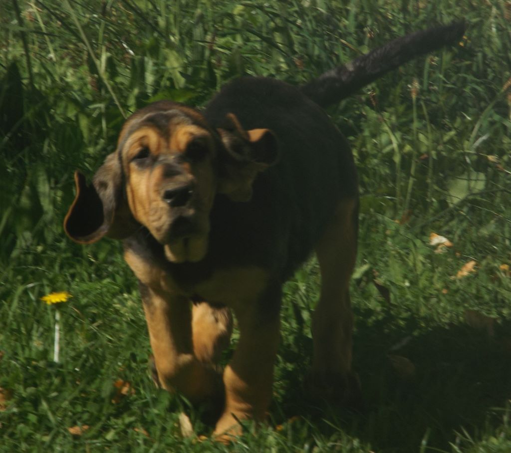 NAOMIE DES MENTHES SAUVAGES