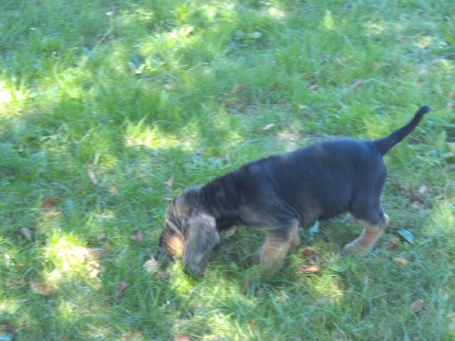 JADE LA BELLE DES MENTHES SAUVAGES