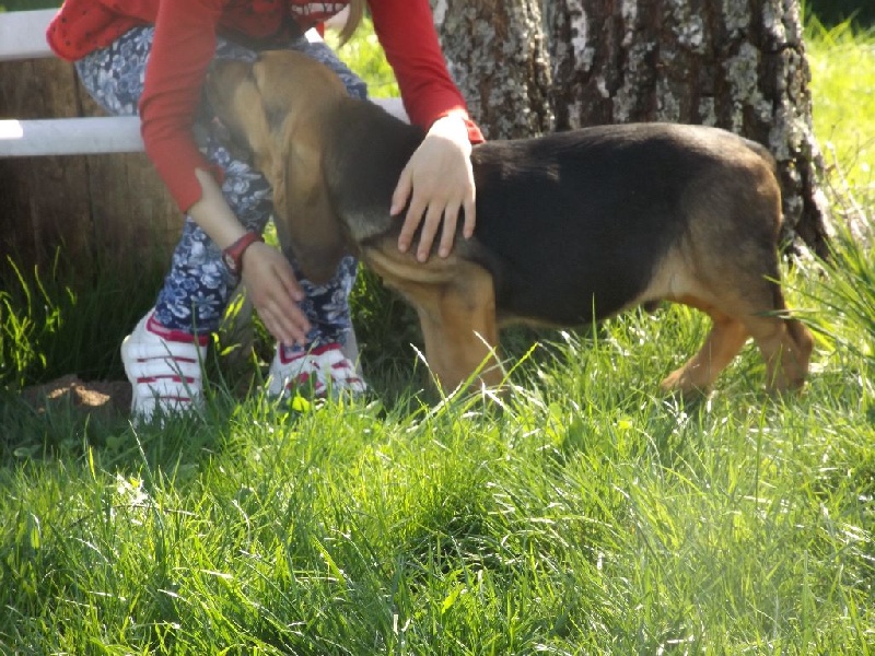 logan des menthes sauvages