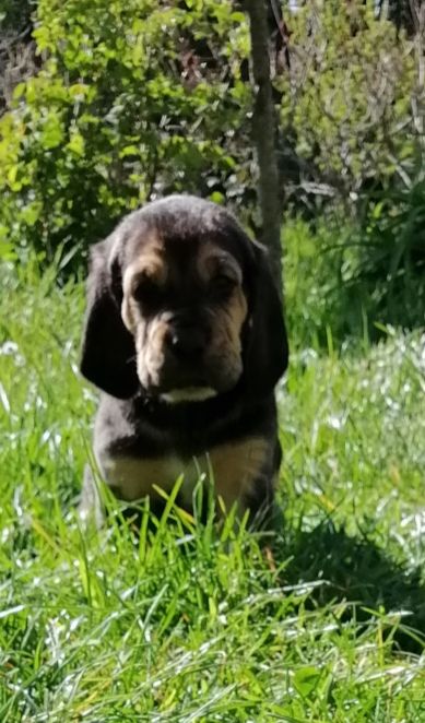 Sheyenne.... Nom provisoire