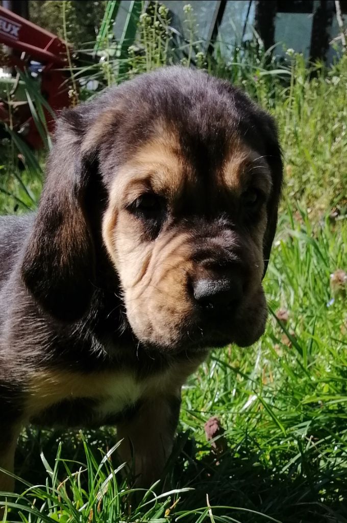 Sheyenne.... Nom provisoire