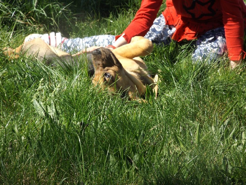 logan des menthes sauvages