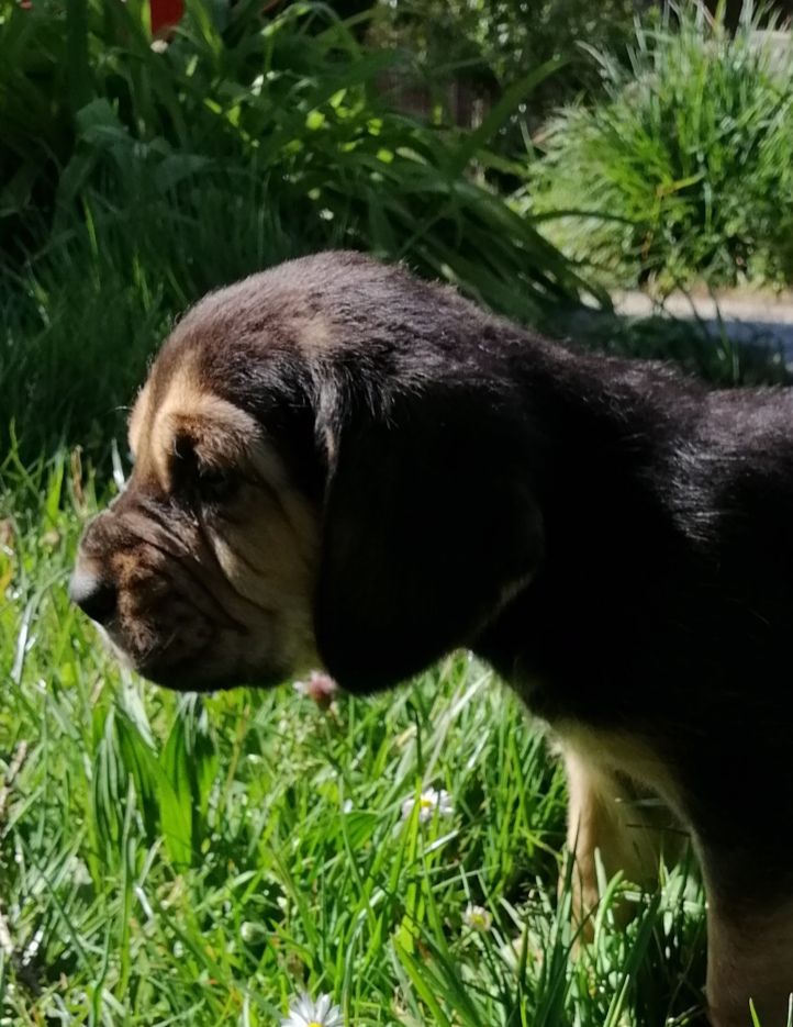 Sheyenne.... Nom provisoire