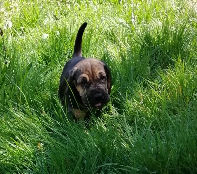 Season nom provisoire