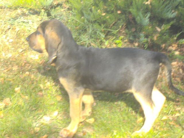 JFK DES MENTHES SAUVAGES