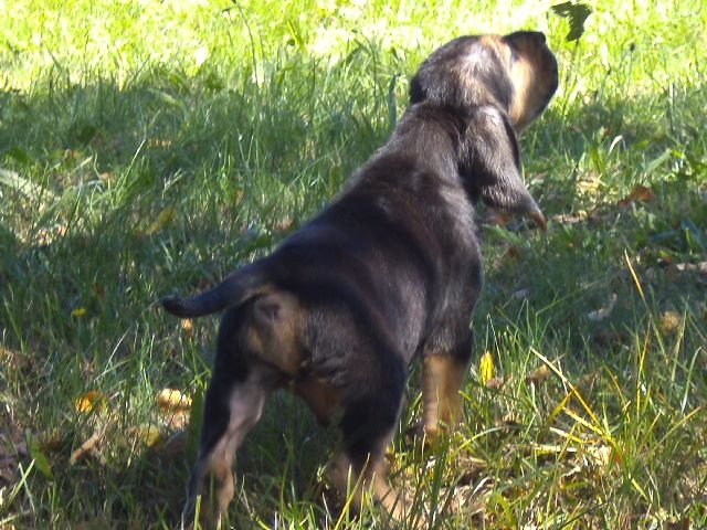 JOHN WAYNE DES MENTHES SAUVAGES