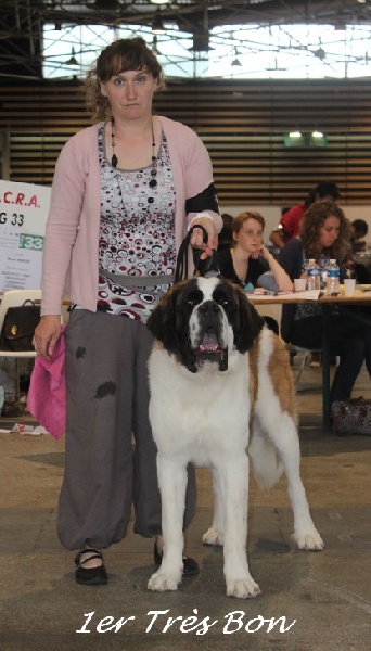 CH. Gahios des joly monts de villers - 1er Très bon