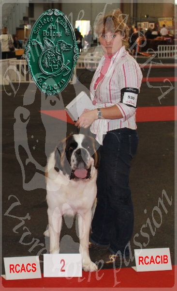 CH. Gahios des joly monts de villers - 2ème Excellent RCACS RCACIB