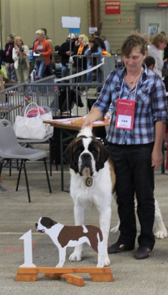 CH. Gahios des joly monts de villers - 1er Excellent