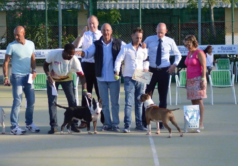 Ir con mi corazõn of Bull's city - 2° Classe Jeune