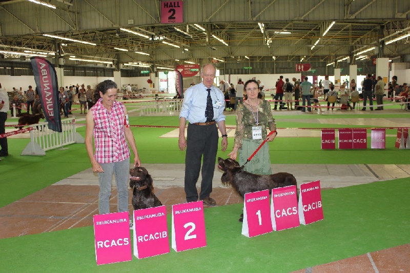 Gold Du Sentier De La Capucinière