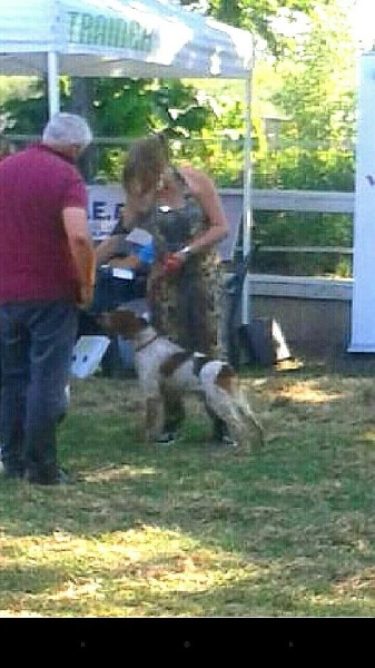 CH. Lex des plaines de septimanie - 1er EXCELLENT CJ - MEILLEUR JEUNE - MEILLEUR TETE