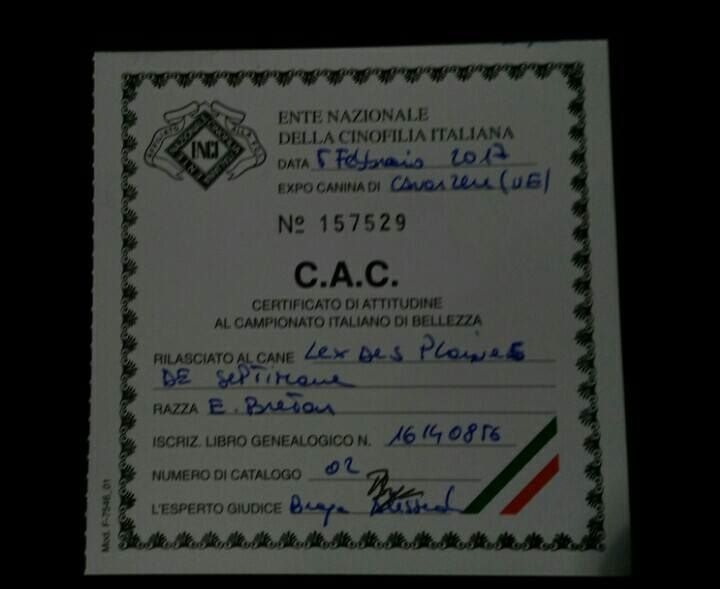 CH. Lex des plaines de septimanie - 1er ECCELLENTE C.LAVORO - CAC - MEILLEUR DE RACE