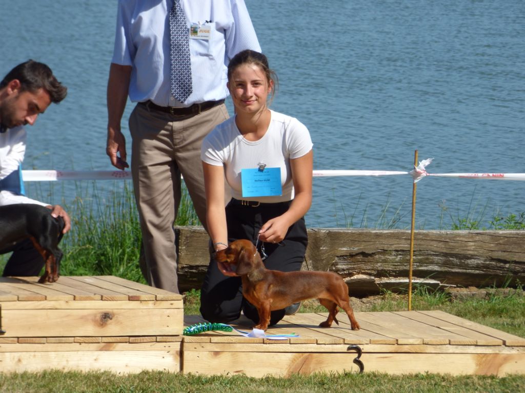 Publication : Du Moulin Sault