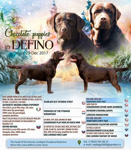 Publication : Du Moulin Sault