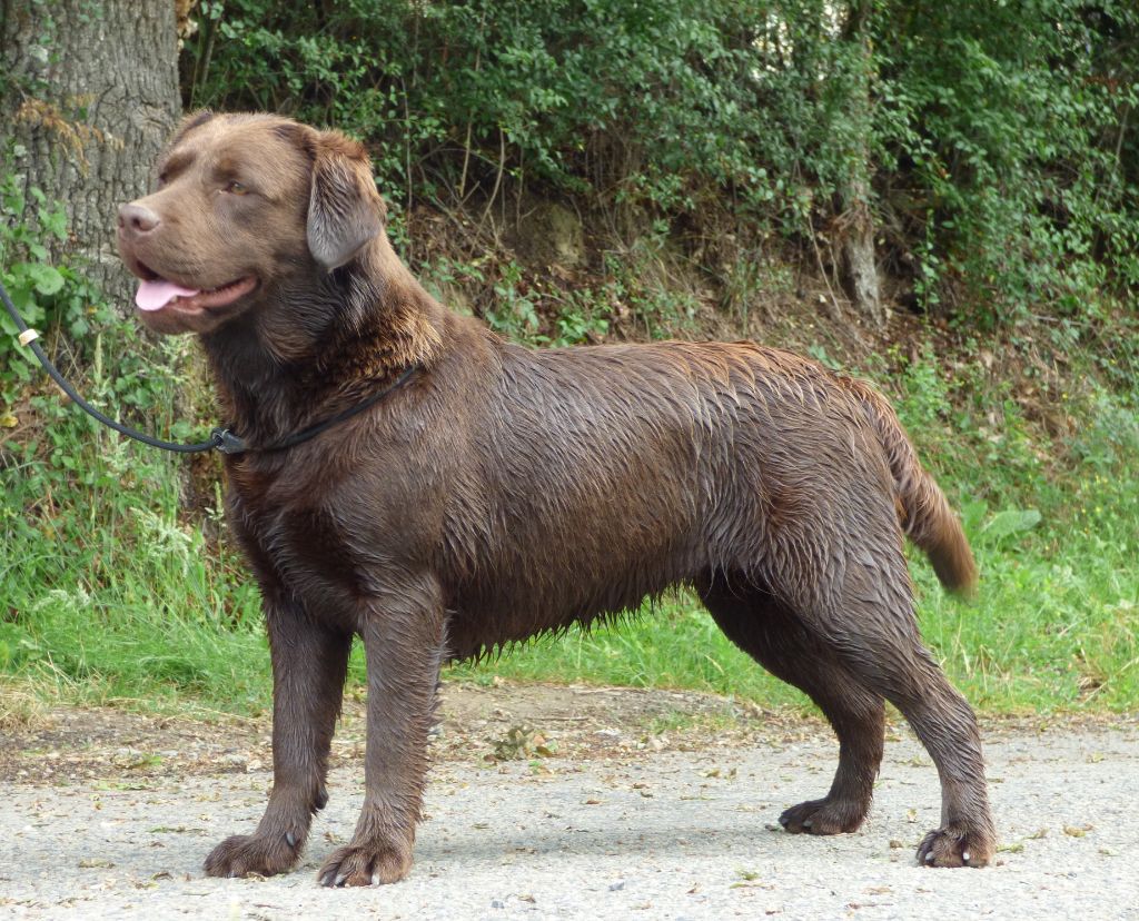 Publication : Du Moulin Sault