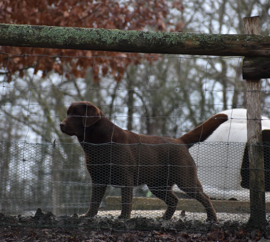 Publication : Du Moulin Sault