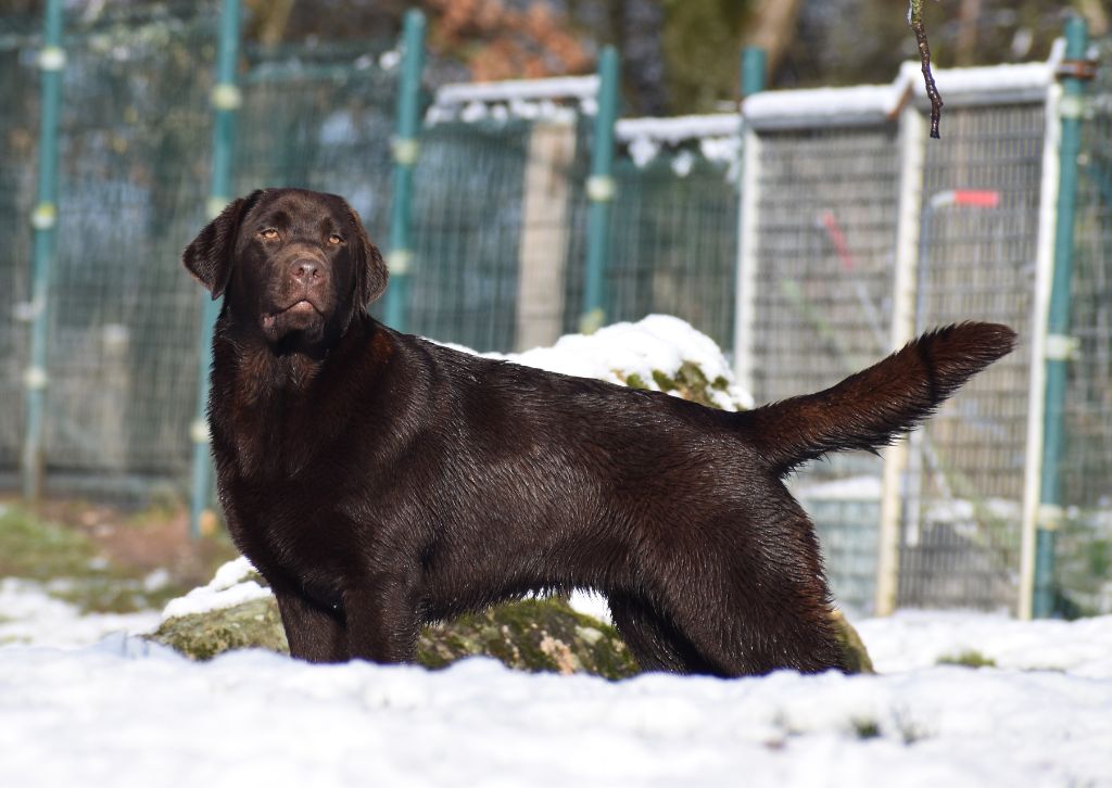 Publication : Du Moulin Sault