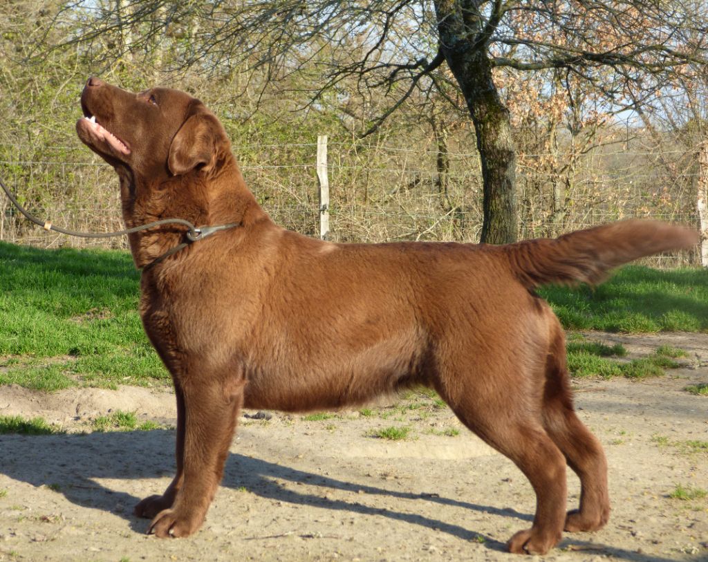 Publication : Du Moulin Sault