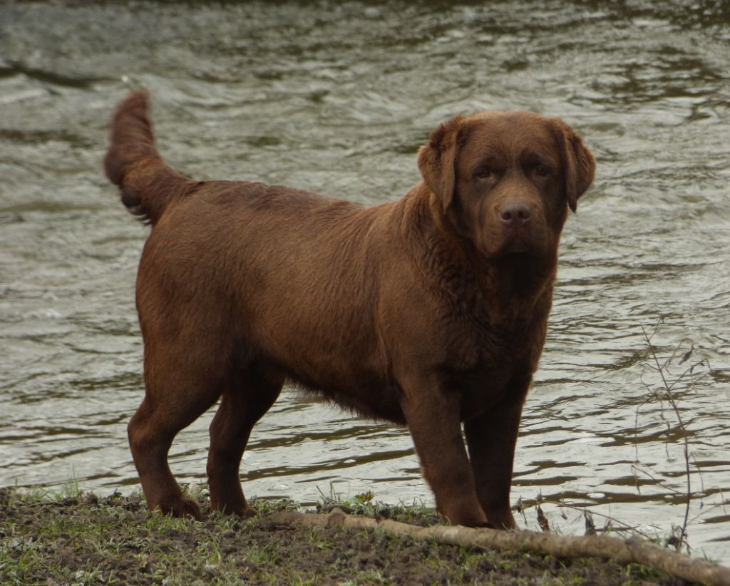 Publication : Du Moulin Sault