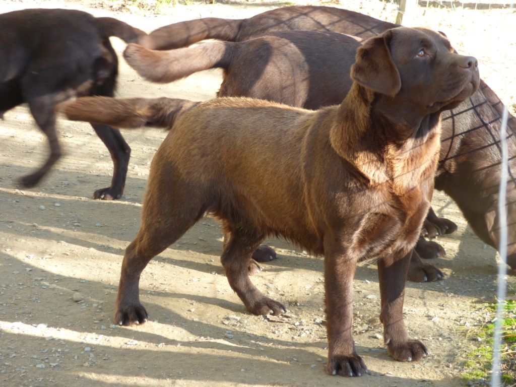 Publication : Du Moulin Sault