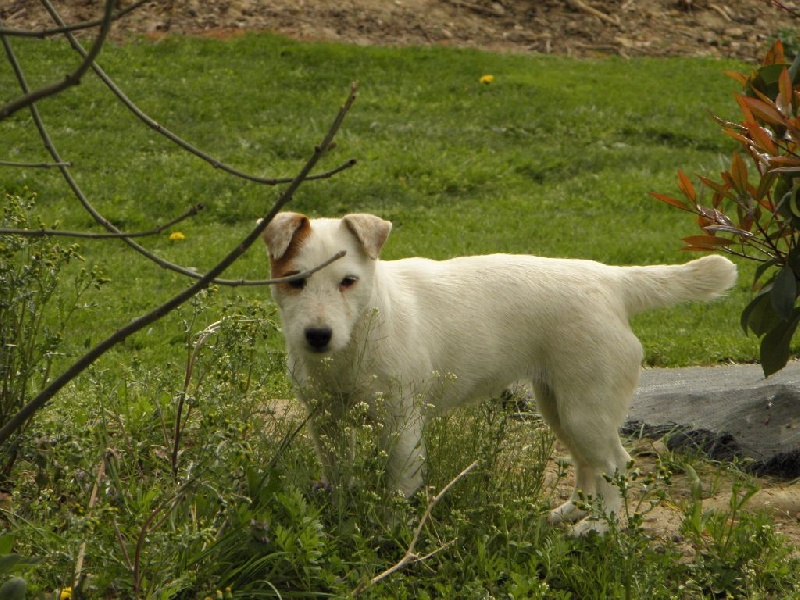 Ilou widget Du Moulin Sault - 1ère EXCELLENT - RCACS