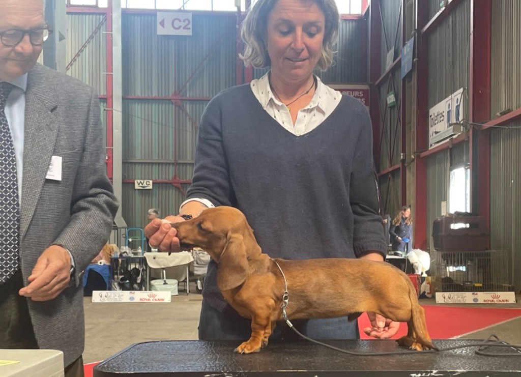 Twitter de la Passe de l'Eider - Meilleur baby