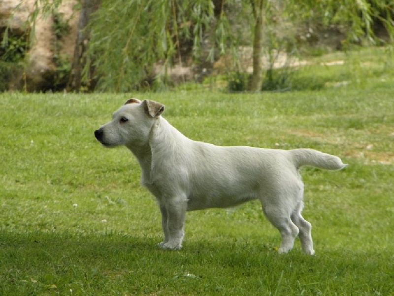 Ilou widget Du Moulin Sault - 2ème Très Bon en classe intermédiaire