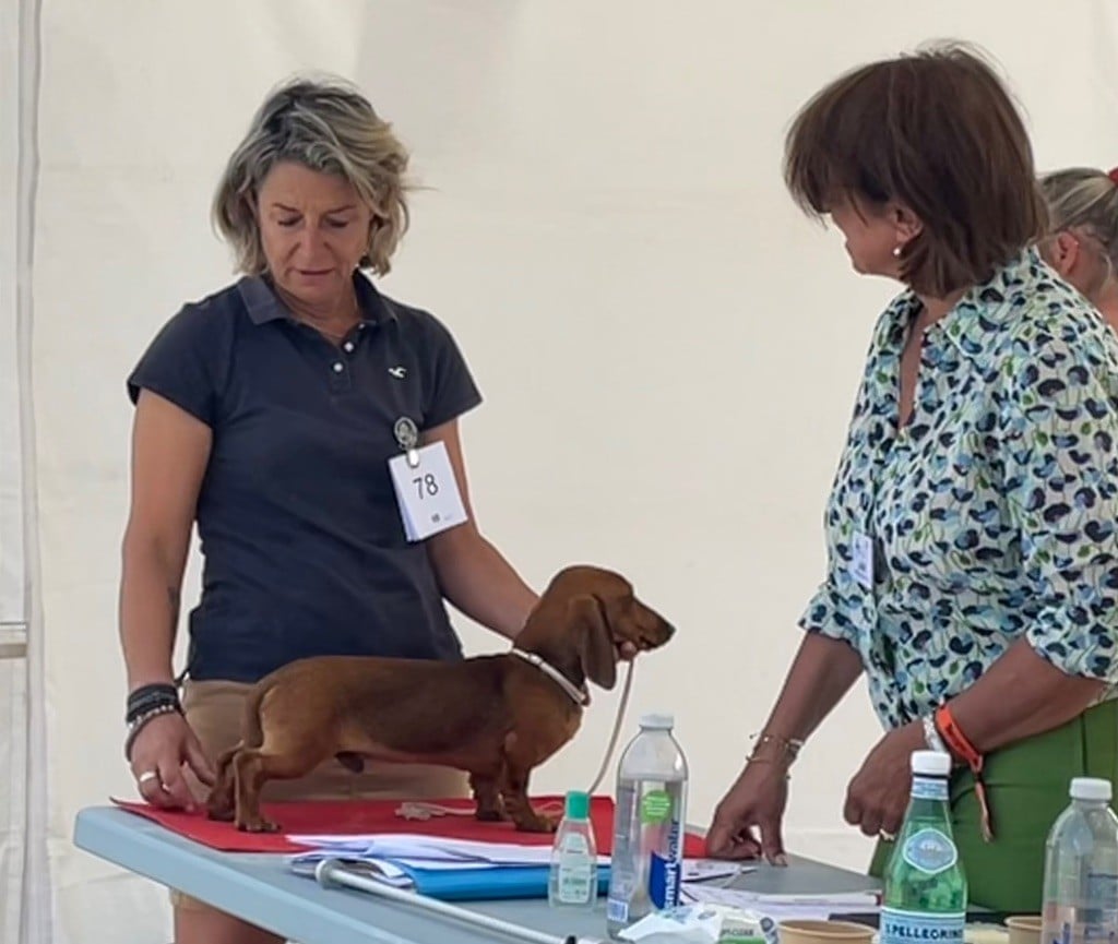 Twitter de la Passe de l'Eider - Meilleur Puppy