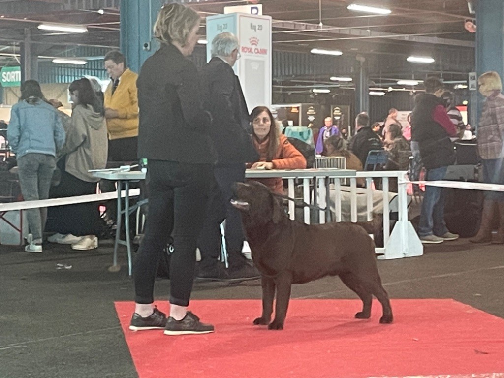 Tokyo Du Moulin Sault - Meilleur baby