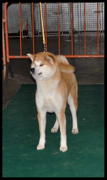 Publication : La source du dragon Auteur : Larissa Brabant