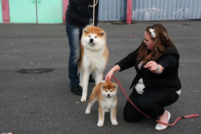 Publication : La source du dragon Auteur : Larissa Brabant