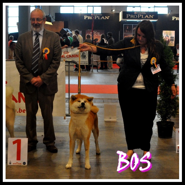 Publication : La source du dragon Auteur : Larissa Brabant